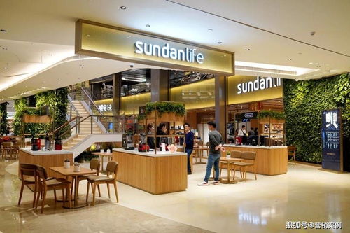 免費門店，年入400萬 購物商城定制開發的創新商業模式啟示